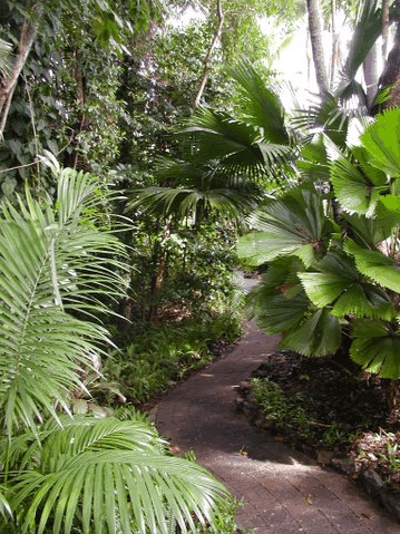 Rainforest Grove Holiday Resort - Getaway Accommodation 1