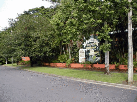 Rainforest Grove Holiday Resort - Getaway Accommodation 2