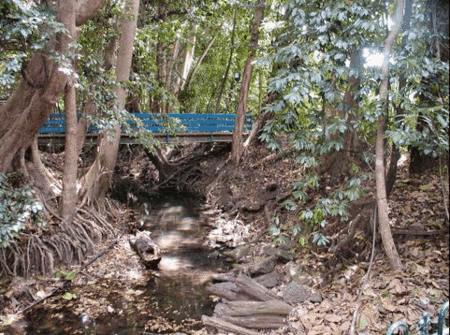 Rainforest Grove Holiday Resort - Getaway Accommodation 3