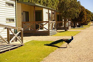 Other - Getaway Accommodation 3