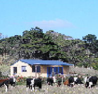 Marrawah Beach House - Getaway Accommodation