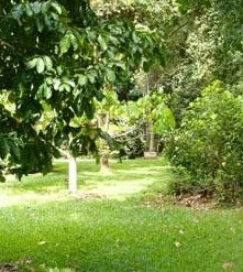 Julatten QLD Getaway Accommodation