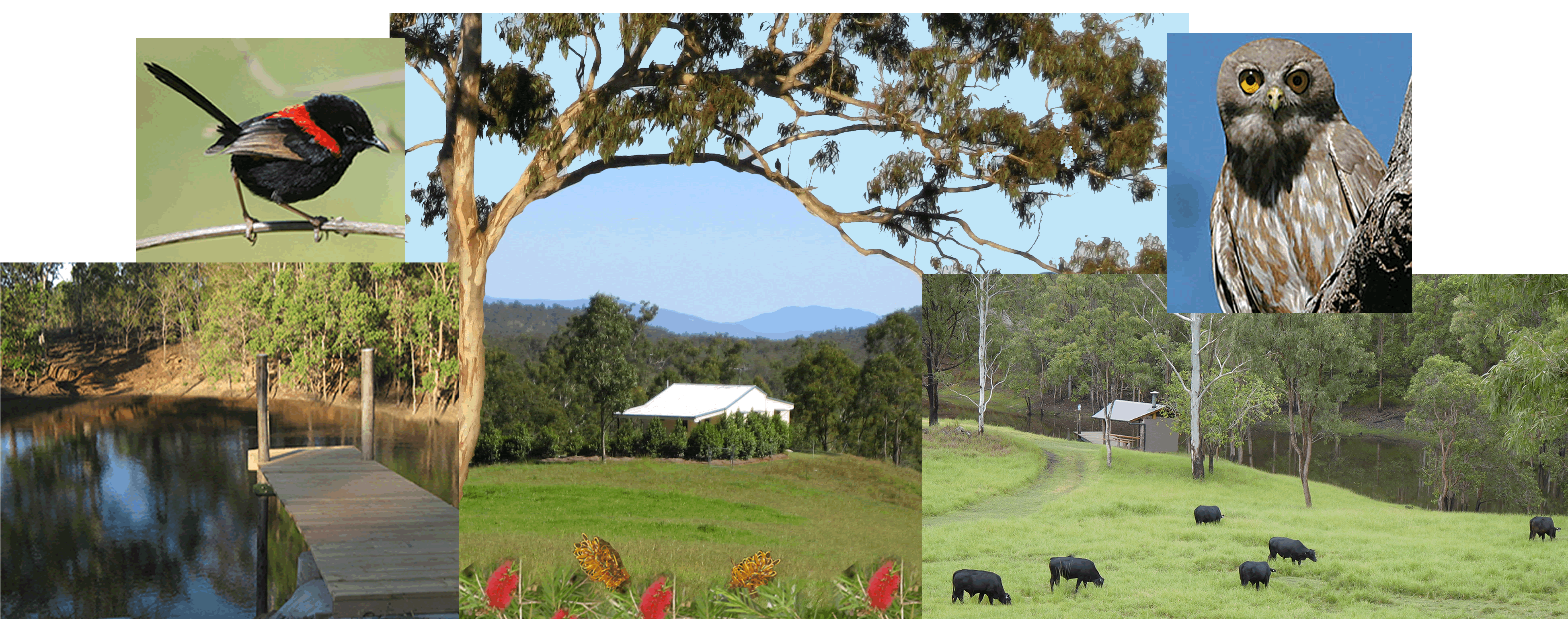 Barking Owl Retreat - Getaway Accommodation