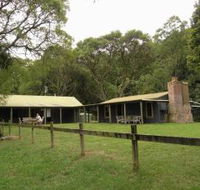 Tree Fern Lodge - Getaway Accommodation