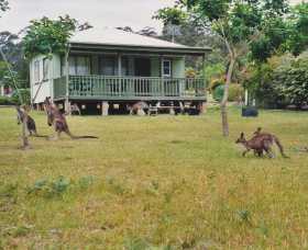 Berringer Lake NSW Getaway Accommodation