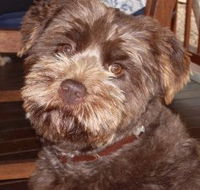 Lagoon Pocket Bed and Breakfast - Getaway Accommodation