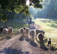 Brooloo Park - Getaway Accommodation