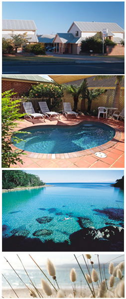 Dolphin Shores Motor Inn - Getaway Accommodation 1
