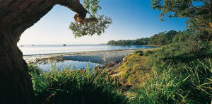 Dolphin Shores Motor Inn - Getaway Accommodation 2