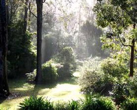 The Bawley Bed And Breakfast - Getaway Accommodation 2