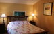 Tree Fern Lodge - thumb 3
