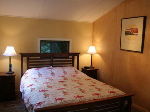 Tree Fern Lodge - Getaway Accommodation 3