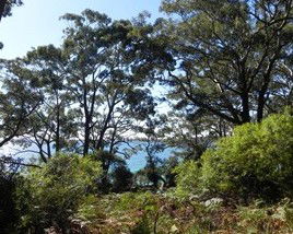 Booderee National Park: Bristol Point Camping Area - Getaway Accommodation 1