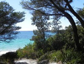 Booderee National Park: Bristol Point Camping Area - Getaway Accommodation 2