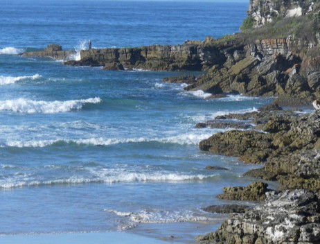 Booderee National Park: Cave Beach Camping Area - Getaway Accommodation 2