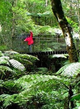 Katandra Mountain Farm House - Getaway Accommodation 2