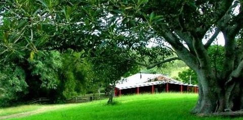 Katandra Mountain Farm House - Getaway Accommodation 5