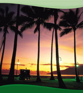 Bay Village Tropical Retreat, Cairns - Getaway Accommodation 1