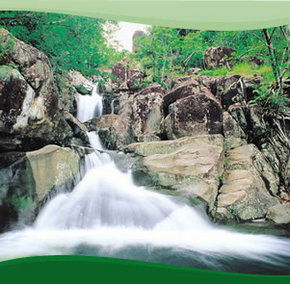 Bay Village Tropical Retreat, Cairns - Getaway Accommodation 2
