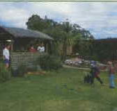 Tambo Lodge - Getaway Accommodation