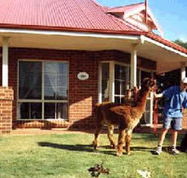 Brilea Cottages - Getaway Accommodation