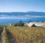 Marions Vineyard  - Getaway Accommodation