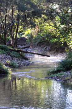 Yabbaloumba Retreat - Getaway Accommodation 5