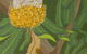 Sandholme Guesthouse - thumb 23