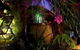 Tantarra Bed And Breakfast - thumb 4