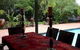 Tantarra Bed And Breakfast - thumb 9