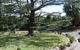 Tantarra Bed And Breakfast - thumb 14