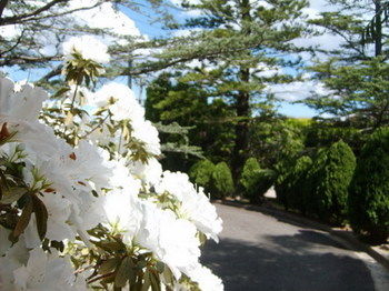 Tantarra Bed And Breakfast - Getaway Accommodation 15