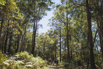 Bawley Bush Retreat And Cottages - Getaway Accommodation 9