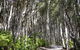 Bawley Bush Retreat And Cottages - thumb 37