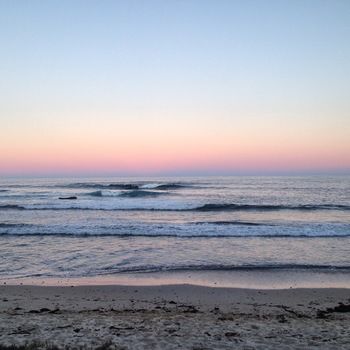 Bawley Bush Retreat And Cottages - Getaway Accommodation 40
