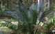 Bawley Bush Retreat And Cottages - thumb 46