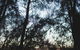 Bawley Bush Retreat And Cottages - thumb 76