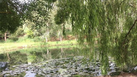 Chestnut Springs - Getaway Accommodation 7