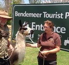 Bendemeer Tourist Park - Getaway Accommodation