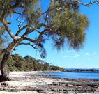 Currarong Beachside Holiday Park - Getaway Accommodation