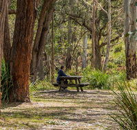 Koreelah Creek campground - Getaway Accommodation