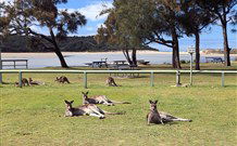 Lake Conjola Entrance Holiday Park - Getaway Accommodation 2