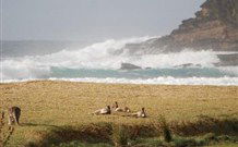 Merry Beach Caravan Resort - Getaway Accommodation 2
