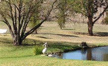 Sapphire City Caravan Park - Getaway Accommodation 4