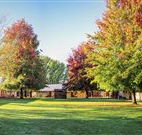 Laurel Hill Forest Lodge - Tumbarumba - Getaway Accommodation