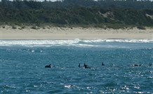 Sussex Shores RSL Units - Sussex Inlet - Getaway Accommodation 4
