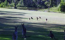 Sussex Shores RSL Units - Sussex Inlet - Getaway Accommodation 6