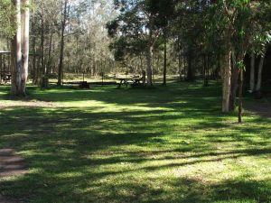 Jervis Bay Cabins And Hidden Creek Real Camping - Getaway Accommodation 6