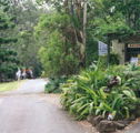 Tamborine Mountain Caravan  Camping - Getaway Accommodation