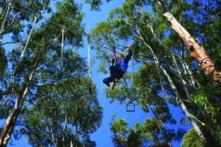 Cedar Creek Lodges - Getaway Accommodation 3